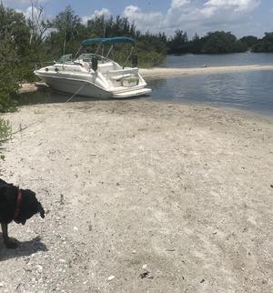 type of boat rental in Cocoa, FL