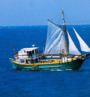 type of boat rental in Mikonos, 